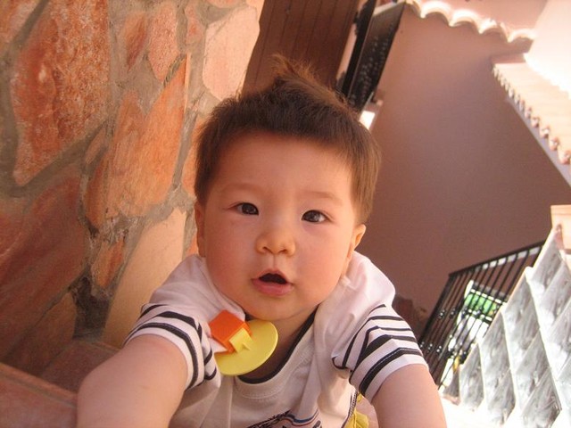 Leo climbing stairs in house in Sardina