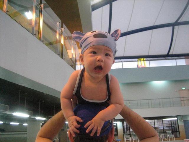 Leo in swimming pool, Shipai